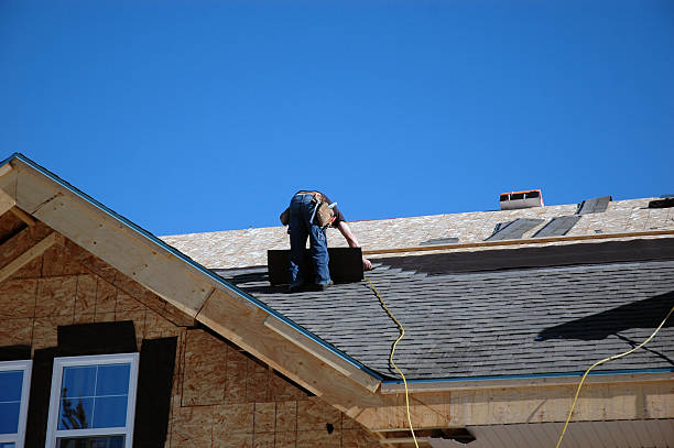 Best Solar Panel Roofing Installation  in Fort Lee, VA