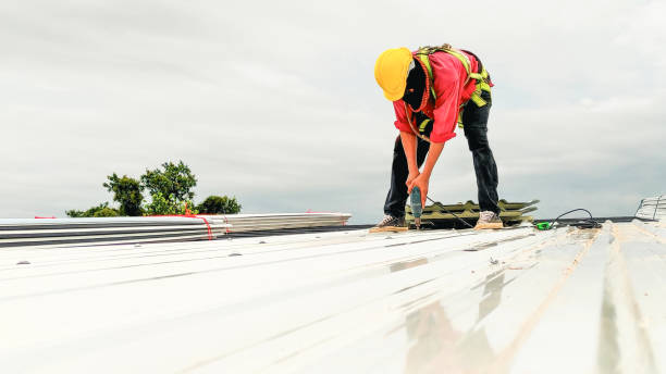 Best Steel Roofing  in Fort Lee, VA