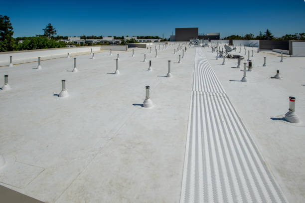 Best Skylight Installation and Repair  in Fort Lee, VA